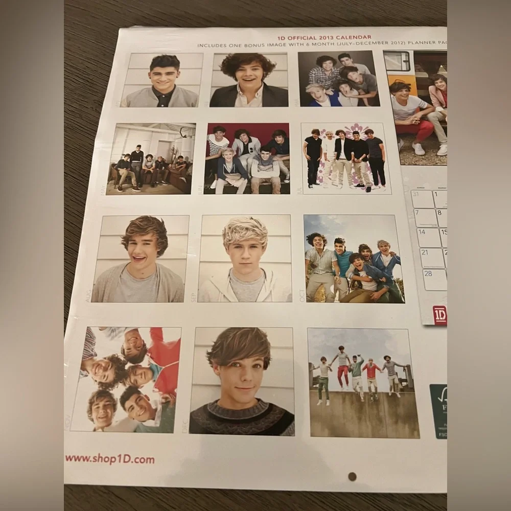One Direction Official 2013 Calendar Sealed